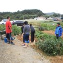 김성훈농장 이미지