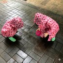 그림과아이들 | 장마 후 지렁이 구출하는 우리집 아이들, ‘지렁이 키우지렁’ 그림책 후기