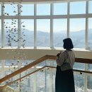 F81 | 잠실 롯데타워 시그니엘 서울 STAY 기념일 레스토랑 방문 후기 F81 미쉐린1스타 (2nd 결혼기념일♡)