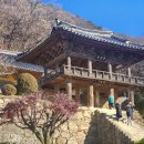 영주 부석사(榮州 浮石寺) 경내풍경 ＜경상북도 영주시＞ 24/12/08 이미지