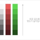 치카치코 이미지