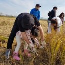 전라남도 농업박물관(테마공원) 이미지