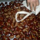 오진농장 이미지