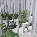 카페그레아뜰리에 | 가정동 꽃집 추천 | 루원시티 꽃뜰리에 꽃배달 후기 총정리