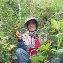 수야농장 이미지