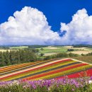 비에이(B/A) 이미지