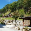 산삼자연휴양림 이미지