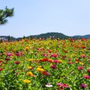 재매정길 이미지