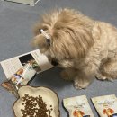 크린환경사료 이미지