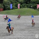 안심관광에 알맞은 최고의 야외 공연과 체험 - 제주 더마(馬)파크 이미지