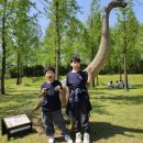 수창태권도예절관 이미지