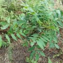 뜨락농원 이미지