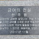 금어의 전설 네이버블로그