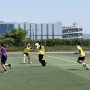 명 포인트데일리