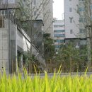 삼구공인중개사사무소 이미지