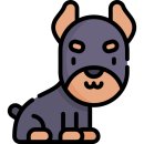 해남동물나라 이미지