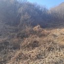 살미면사무소 이미지