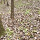 사나물농장 이미지