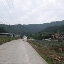 영춘동 Daum카페