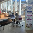 충남도립대학교 이미지