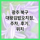 김가네김밥오치점 | 광주 북구 대왕김밥오치점, 주차, 후기, 위치