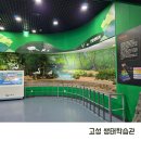 고성군상하수도사업소 (1층) | 경남 아이와 가볼만한곳 고성생태학습관