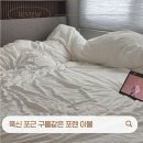 (주)네츄럴라이프 | 사계절이불 추천 먼지없는이불 포렌 더험블 후기