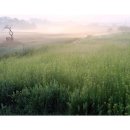 안성농장 이미지