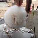 다나동물병원 이미지