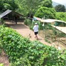 견사 전경 (드론 촬영) 이미지