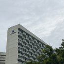 빌라도르 | 나트랑 가족여행 숙소 알마리조트 깜란 오션뷰 2베드룸 객실 스위트 키즈룸