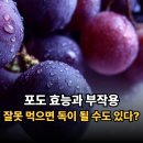 포도독 | 포도 효능과 부작용, 잘못 먹으면 독이 될 수도 있다?