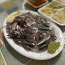 가자 대광어회 이미지