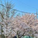 세븐일레븐수원화서역점 이미지