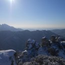 개폼난다 이미지