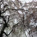 영등동-04 이미지