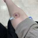 임마누엘문구 자판기 이미지