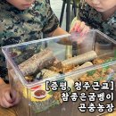 청주 근교, 다양한 곤충체험 입양 하기 좋은 증평 참 좋은 굼벵이