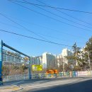 화명동 명진중학교 | [Busan] 화명생태공원 튤립단지 개화상황 주차장 위치 부산 튤립 명소