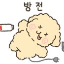 크로스핏 바이브온 네이버블로그