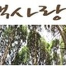 민턴정스포츠