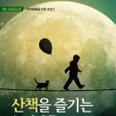 산책하는 고양이 이미지