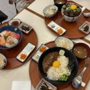 8-5 율전에 돌아왔어요/개강 직전 맛도리 투어