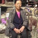 황소 민박 이미지