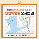 영종이엠365의원 네이버블로그