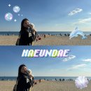 다루동물병원 | 순자랑 1박2일 해운대 여행 (feat. 건강검진)