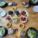 양대감 대구탕 본점 방문 후기 내돈내산