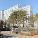 조선호치과의원 Daum카페