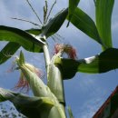 화개우체국 이미지