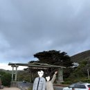 조이앤픽 | [호주 여행]DAY3 그레이트오션로드 투어(feat.조이투어)